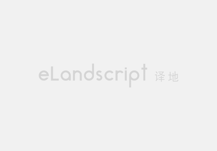 唐筱璐，合伙人/设计总监